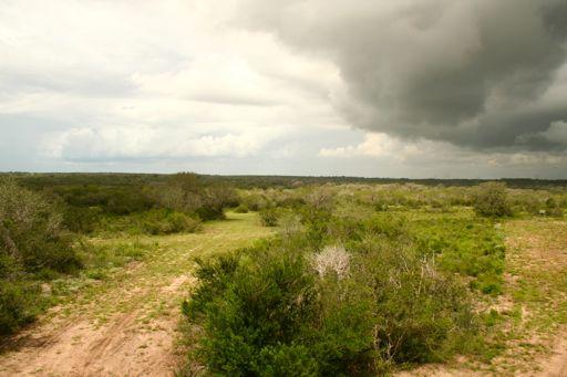 LOCATION This 1,568.51 acre property is located in NW Bee County between Mineral and Beeville. This ranch has great access with 1.4 miles of frontage on FM paved Mineral Cemetery Road, and 1.