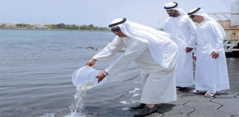 Recommendations & Conclusions Persian Gulf coast of UAE has tremendous potential for marine cage