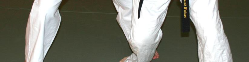 In Great Britain the National Governing Body for judo is the British Judo Association (BJA), of which the club is a member, which has long been a forward-thinking organisation.