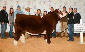 She is pictured with her winning Shorthorn Plus