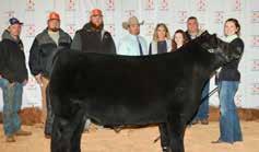 Reserve Grand Champion Chelsea Langley of