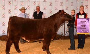 Gus Ashley of Montgomery County was the Champion Junior Showman at the Junior Beef Expo Pictured with Ashley are