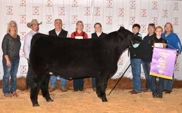 family. Alec Ashley of Cherokee County was the Reserve Champion Junior Showman at the Junior Beef Expo.