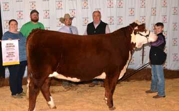 Ace Ashley of Cherokee County was the Reserve Champion Intermediate Showman at the Junior Beef Expo.
