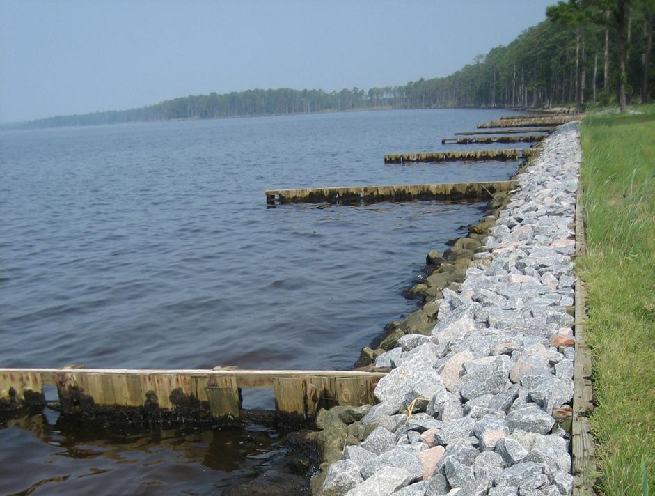 Shorelines with Submerged Aquatic Vegetation, Mudflats, Oysters, and/or Woody Debris