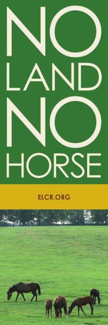 ELCR and our Role More than 15 years ago, horse owners and conservationists saw the risk to the future of the horse community from land becoming inaccessible to horses.