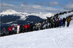 Marmot March 20 24 Tour Report Submitted by Elaine & Allan Douglas Marmot in March was an outstanding success.