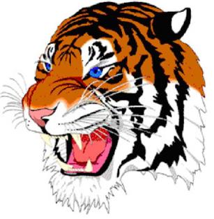 Stony Point High School Lady Tiger