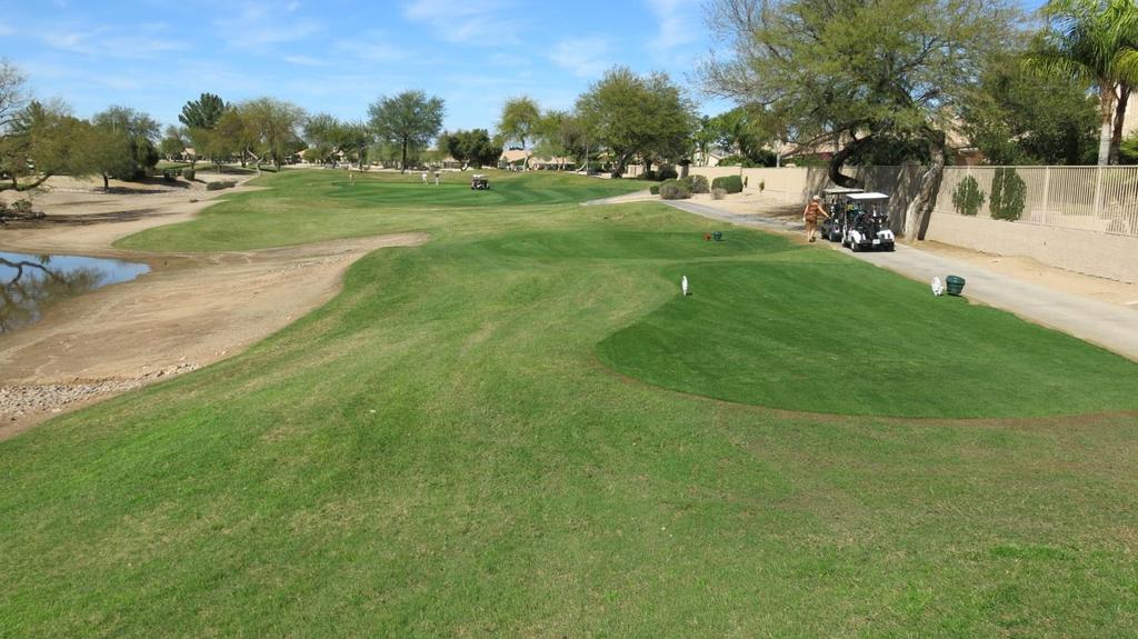 In addition, Mr. Escobedo noted that plans are in place to expand and level the North driving range tee (Vistas), which will significantly improve the hitting area. The tees on No.