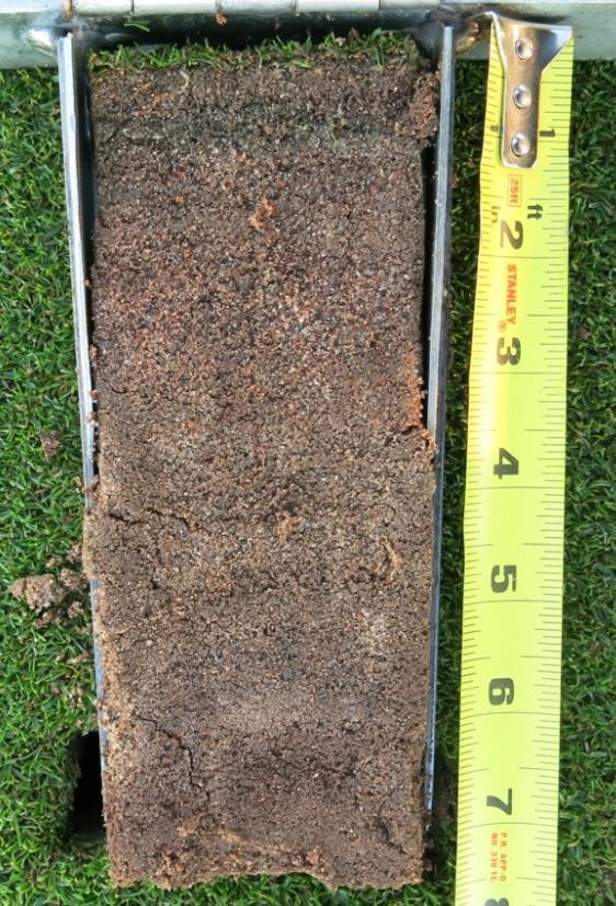 PUTTING GREENS Lakes greens This was the first year the putting greens were overseeded since resurfacing to Tifdwarf bermudagrass in the summer of 2015.