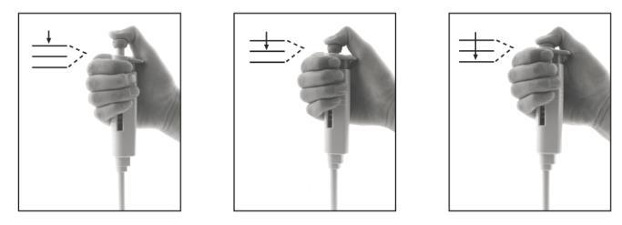 . Starting position Fig.6A 6.2. Reverse pipetting First stop Fig.6B Second stop Fig.6C The reverse technique is suitable for dispensing liquids that have a tendency to foam or have a high viscosity.