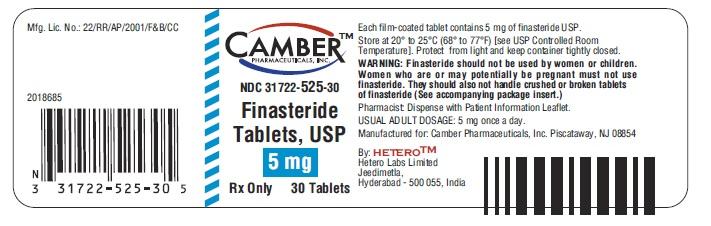 Manufactured for: Camber Pharmaceuticals, Inc. Piscataway, NJ 08854 By: HETERO TM Hetero Labs Limited Jeedimetla, Hyderabad-500 055, India. Revised: 03/2014 PACKAGE LABEL.