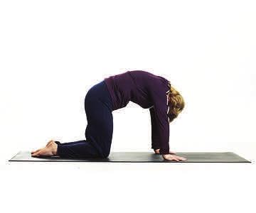 Cat Pose for back, shoulders, & chest Get down on all fours. Place your hands shoulder distance apart and your knees at hip distance.