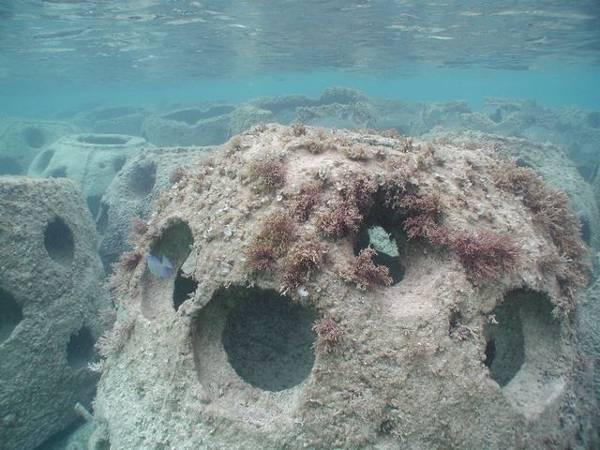 Artificial Reef Submerged Breakwater -