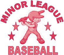 Baseball Academy (AGES 2-12) MINOR LEAGUE BASEBALL This class is designed to teach young athletes the fundamental skills of baseball.