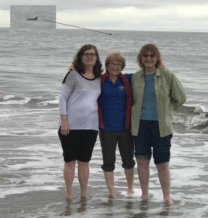 OSMO OTRA More... Travels with Teri, Mary and Friends! Team Osmo members Teri Smoot, Ginny Curtis and Mary Ose are continuing their travels in February.