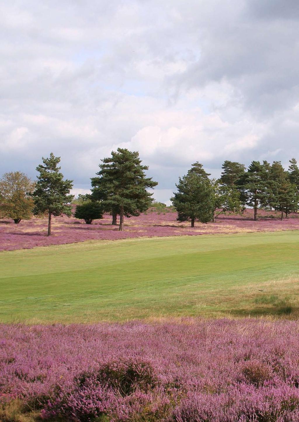COURSE Feature Not so common That it is called Hankley Common Golf Club is a bit of a misnomer.