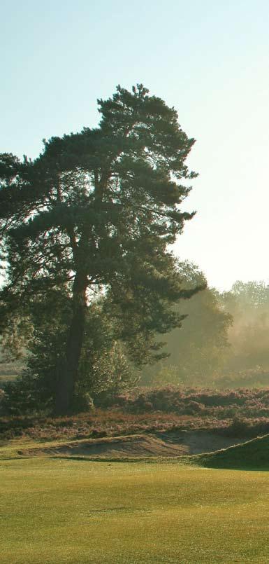 COURSE Feature Located deep in the heart of Surrey, Hankley Common GC has a great feeling of space.