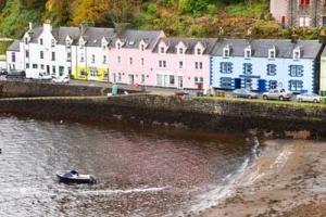 Your guide will give you some top tips on the coach, and will also point you in the direction of the harbour viewpoint; from here you can admire the pretty pastel-coloured houses that the town is