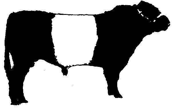 Australian Belted Galloway Association By-Laws Table of Contents Item Description Page 1 Regulations 2 2 Private Stud Register 2 3 Prefix & Tattoo 2 4 Policies on Schools as Members 2 5 Herdbook 3 5.