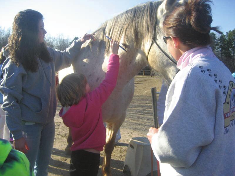 We are still looking for a club to teach us about the basics of horse care.