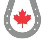 The Canadian Cup Dressage Festival is a Gold / Bronze sanctioned competition member # 180167 of Equestrian Canada, and is governed by the current rules of Equestrian Canada, 308 Leggett Drive, #100,