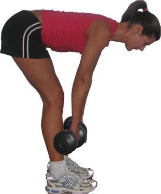 Deadlifts with Row Stand with feet hip-width apart holding weights in front of thighs.