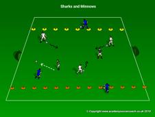 Session Objective: Spacial Awareness Dribble Progression Control > Speed Week Four Game - Sharks and Minnows(8-10min.
