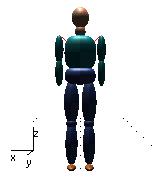 The pedestrian model is a multi-body system consisting of 16 rigid bodies interconnected by 1 joints, as shown in fig. 1. The different bodies, which represent different parts of human body respectively (head, torso, pelvis, femur etc.