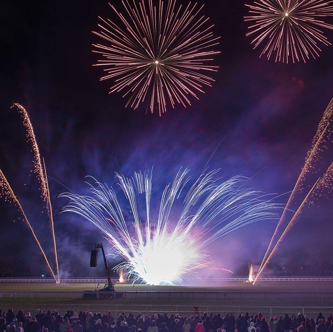 FAMOUS WINDSOR FIREWORKS 4TH NOVEMBER In 2014 we saw the epic War Horse display.