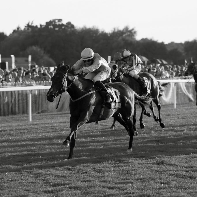 2017 FIXTURES DATE RACEDAY PERFECT LOCATION Set in 165 acres of stunning countryside on the banks of the River Thames and a stones throw from Windsor Castle, Royal Windsor Racecourse is the perfect