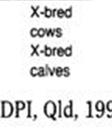 beeff cattle production traits, especially in traits of low heritability such as