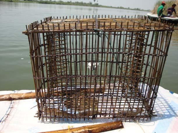 The trap was kept in a vertical position under the water.