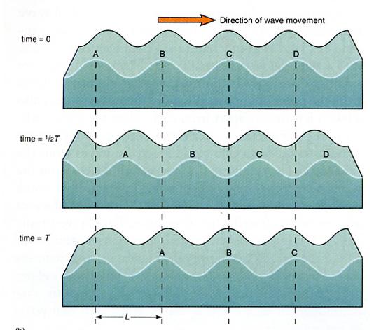 Wave Propagation Wave Period T: time between arrival of successive wave crests at a given place Wave Length L: distance