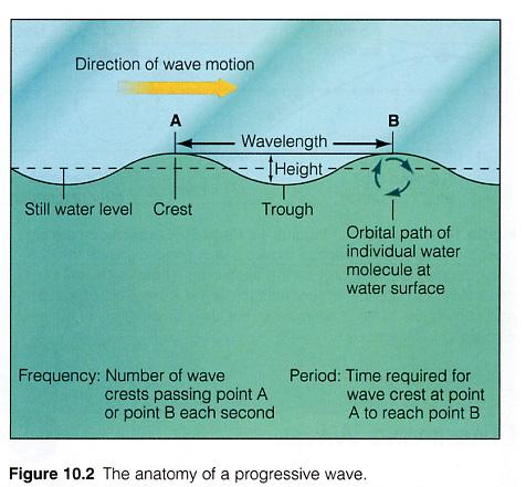 Structure/Terminology for a surface wave on the ocean Crest: highest point on the wave Trough: lowest point on the wave Height H: