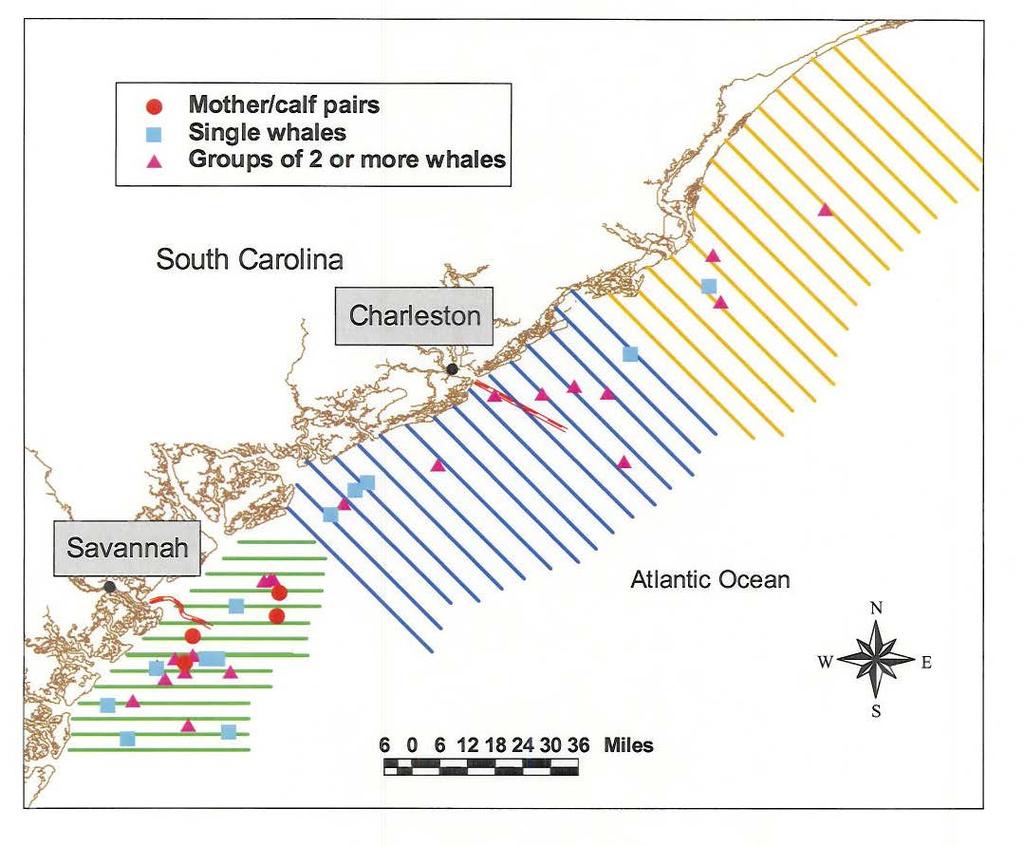 right whales were documented (Figure 7-11 and 7-12) (Sayre and Taylor, July 2008; Schulte and Taylor, 2009).