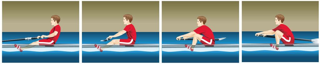 THE RECOVERY PHASE (BLADE RELEASE) On the recovery, the blade must be carried clear of the water so that the blade does not touch the water surface AND the blade balances the boat so that it runs