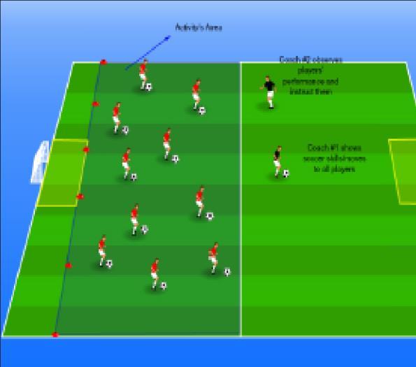 Variation: Set 2 groups of 2 players linked to each other, once these groups tag more players add them into one big group to tag remaining players. Use half of the field for this activity.
