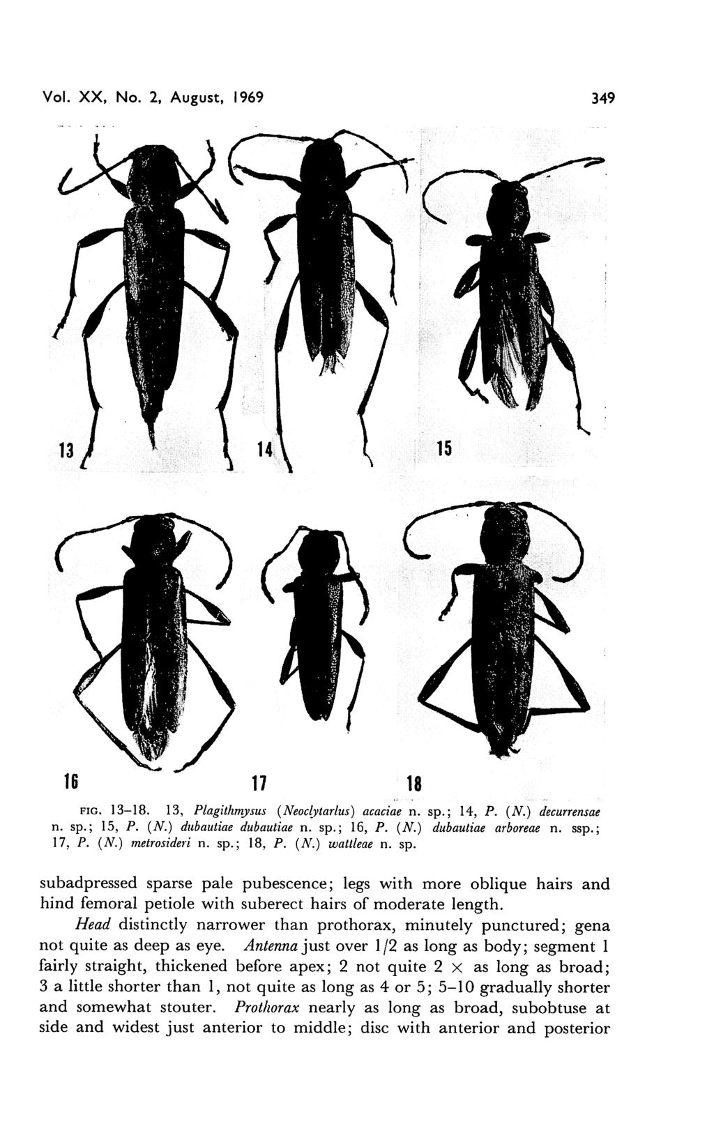Vol. XX, No. 2, August, 1969 349 fig. 13-18. 13, Plagithmysus (Neoclytarlus) acaciae n. sp.; 14, P. (N.) decurrensae n. sp.; 15, P. (N.) dubautiae dubautiae n. sp.; 16, P. (N.) dubautiae arboreae n.