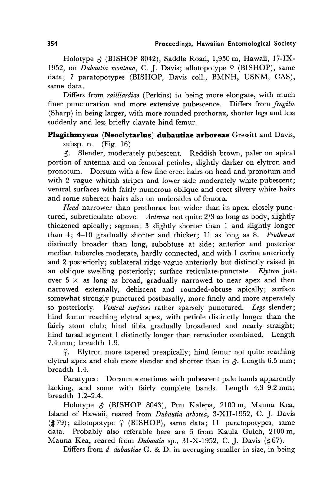 354 Proceedings, Hawaiian Entomological Society Holotype (BISHOP 8042), Saddle Road, 1,950 m, Hawaii, 17-IX- 1952, on Dubautia montana, C. J.