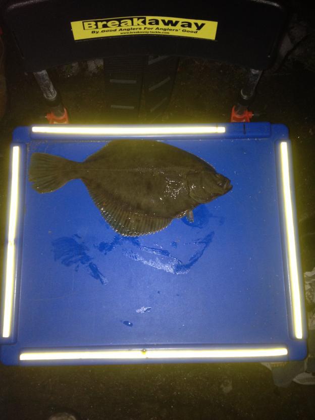 When to Target Flounder The best time to target flounder is throughout the summer when they are close to shore.