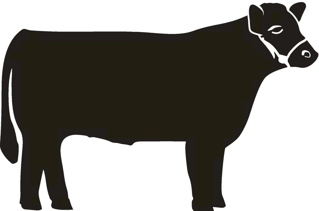 Selection of Market Steer
