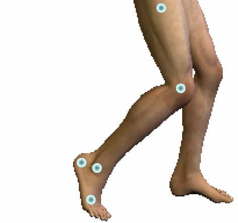 T. Liu et al. / Measurement 42 (2009) 978 988 983 Quadriceps From early interval to late interval Femur Knee Tibia Soleus, gastrocnemius D Sensor unit II Ankle rocker Foot Fig. 5.