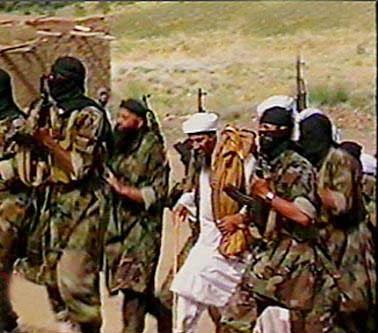Al-Qaida Networks Al-Qaida s infamous 9/11 attacks drew the world s attention to even its obsession with its origins, development, and future plans.