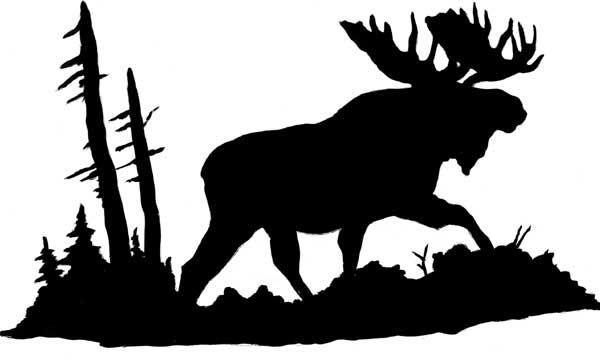 Bois Forte Band of Chippewa MOOSE HUNT 2018 The Bois Forte Band of Chippewa is having a Moose Hunt this year and it will be held within the boundaries of the Reservation.
