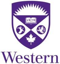 Western University Unsealed Contamination Monitoring Record Permit Holder: Room number: A.