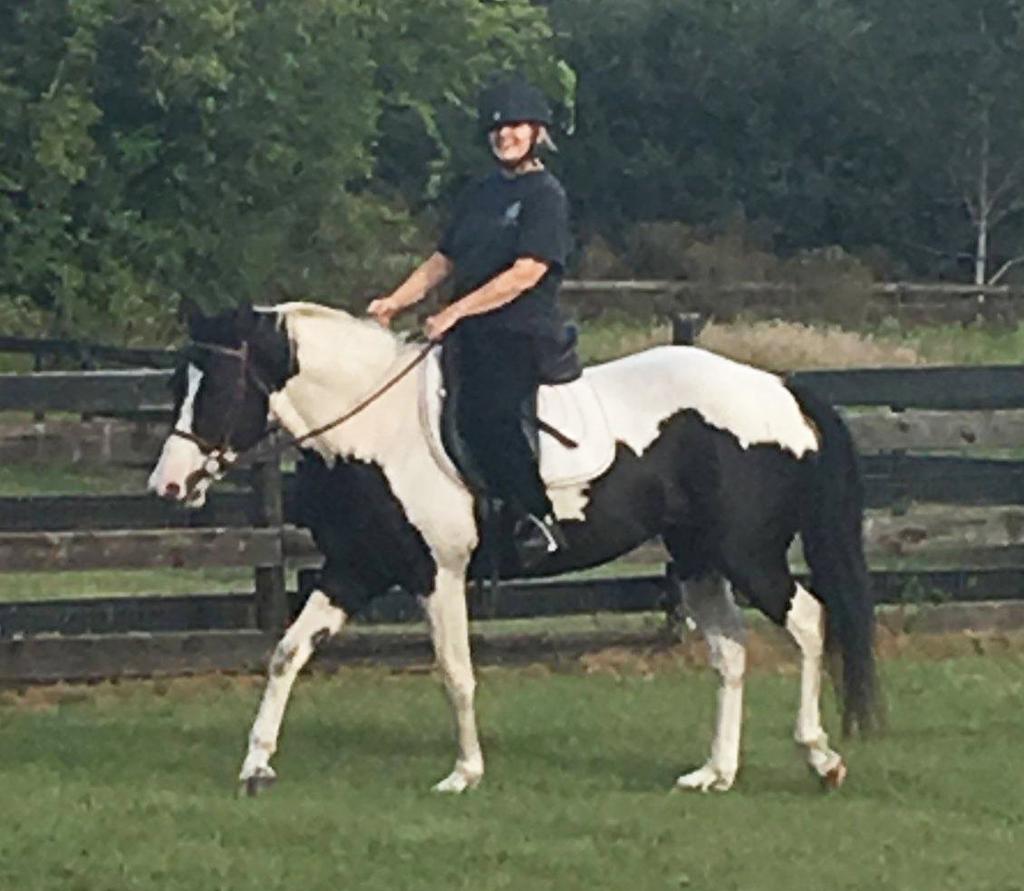 RICK Buckskin Grade QH Gelding 12 Years Old Rick has been used as a trail horse all of his life, but with his owner passing away unexpectedly he is beginning his new home search!