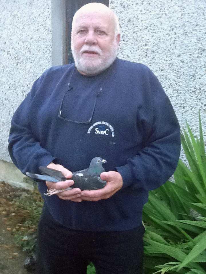 Gordon Geddes 3 rd section F Billy Davidson Coalburn Sorry to hear the news that Billy is in hospital at the moment, what a great name in Scottish Pigeon racing the Davidsons are, real top class