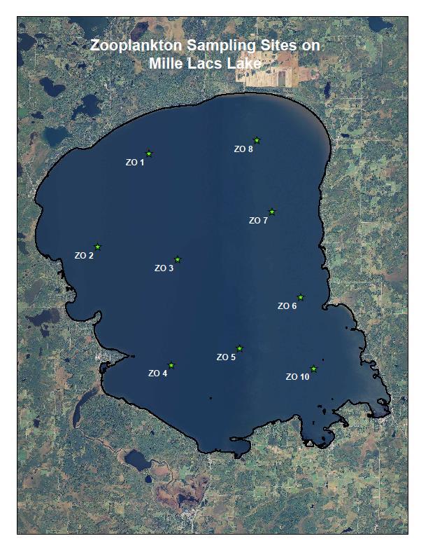 Mille Lacs Lake Zooplankton Sampling Field Methods Zooplankton