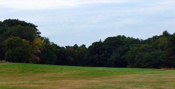 The 17th green, tucked in among the trees and bunkers.